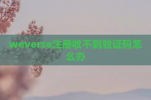 weverse注册收不到验证码怎么办