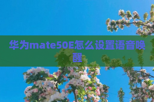 华为mate50E怎么设置语音唤醒