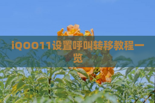 iQOO11设置呼叫转移教程一览