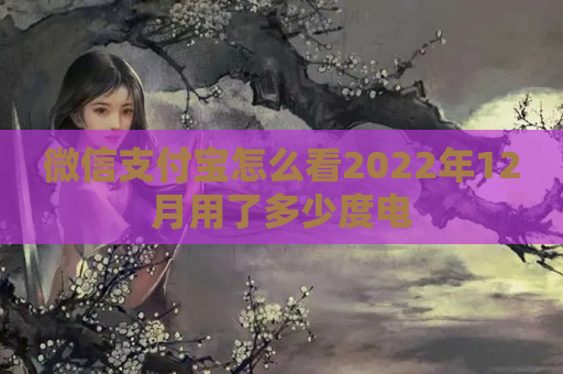 微信支付宝怎么看2022年12月用了多少度电