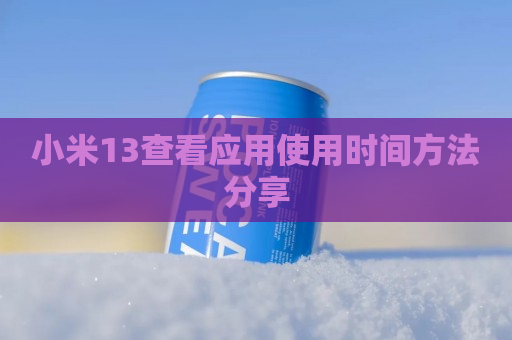 小米13查看应用使用时间方法分享