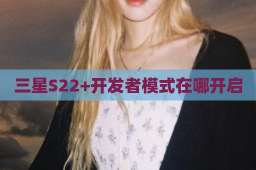 三星S22+开发者模式在哪开启