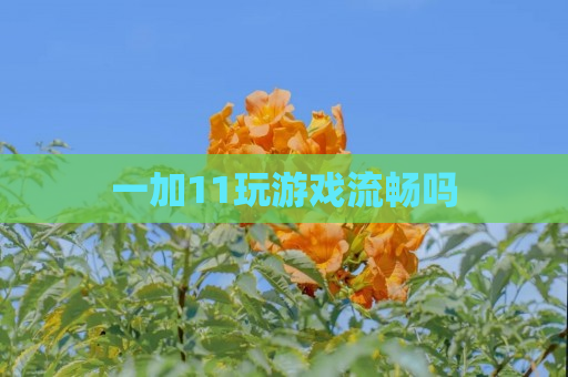 一加11玩游戏流畅吗