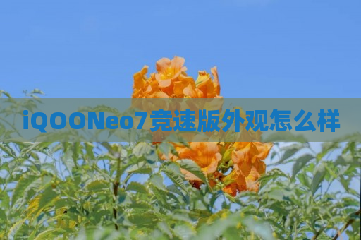 iQOONeo7竞速版外观怎么样