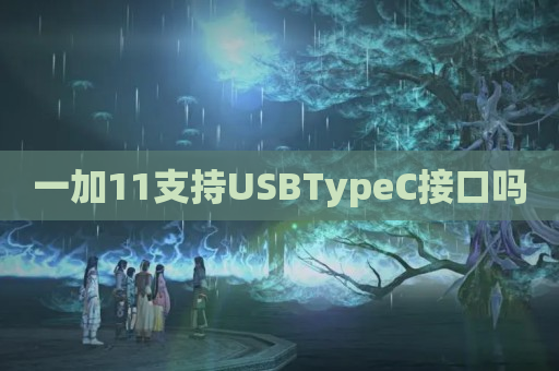 一加11支持USBTypeC接口吗