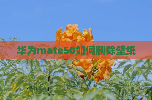 华为mate50如何删除壁纸