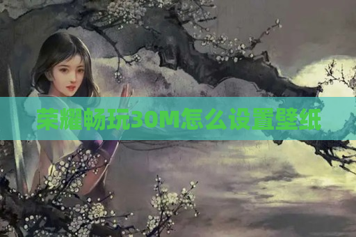 荣耀畅玩30M怎么设置壁纸