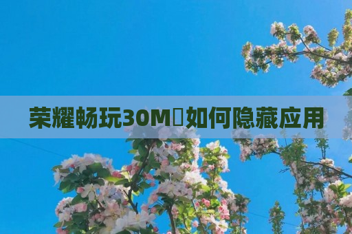 荣耀畅玩30M​如何隐藏应用