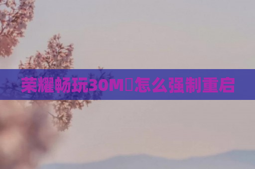 荣耀畅玩30M​怎么强制重启