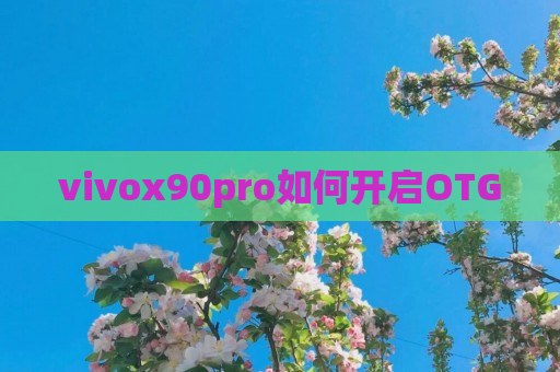 vivox90pro如何开启OTG