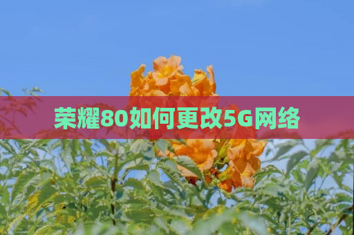 荣耀80如何更改5G网络