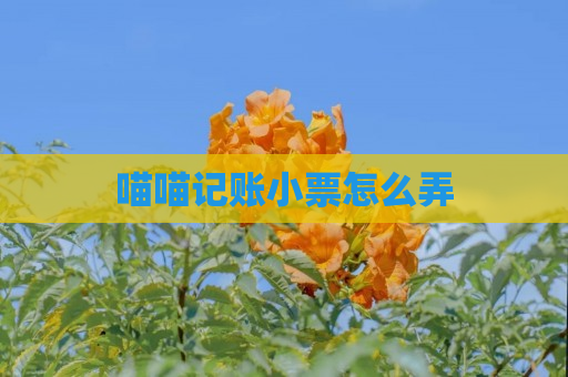 喵喵记账小票怎么弄