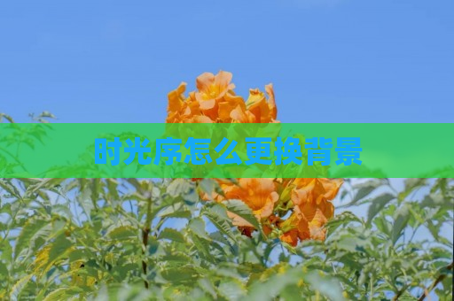 时光序怎么更换背景