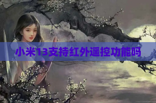 小米13支持红外遥控功能吗