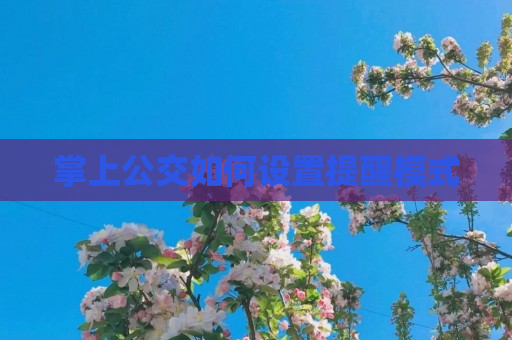 掌上公交如何设置提醒模式