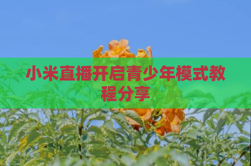 小米直播开启青少年模式教程分享