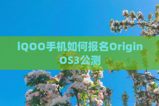 iQOO手机如何报名OriginOS3公测