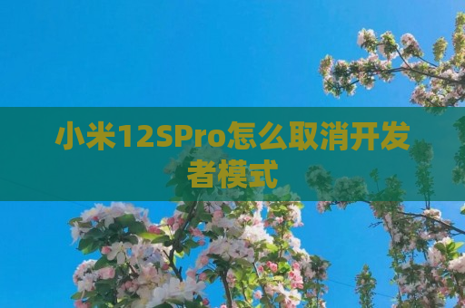 小米12SPro怎么取消开发者模式