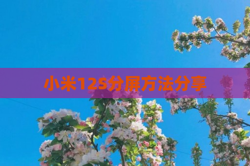 小米12S分屏方法分享