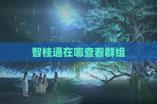 智桂通在哪查看群组