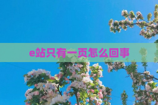e站只有一页怎么回事