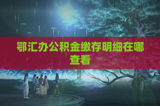 鄂汇办公积金缴存明细在哪查看