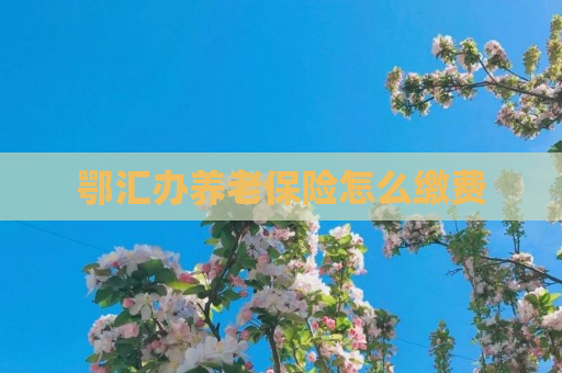 鄂汇办养老保险怎么缴费