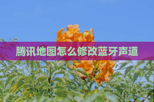 腾讯地图怎么修改蓝牙声道