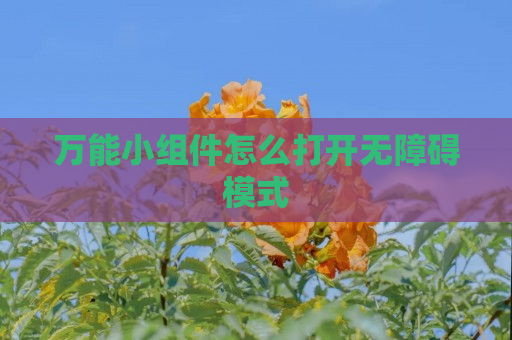 万能小组件怎么打开无障碍模式