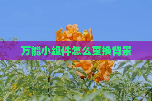 万能小组件怎么更换背景