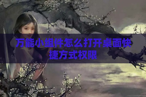 万能小组件怎么打开桌面快捷方式权限