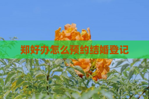 郑好办怎么预约结婚登记