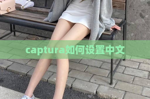 captura如何设置中文