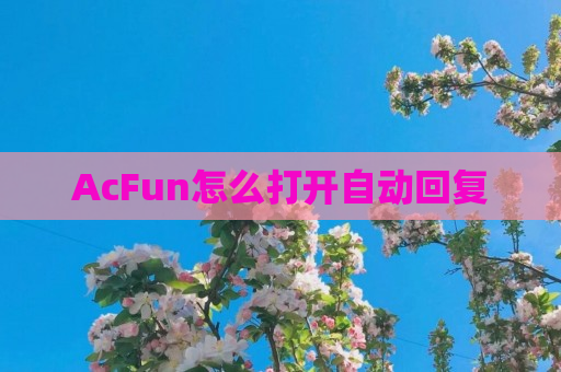 AcFun怎么打开自动回复