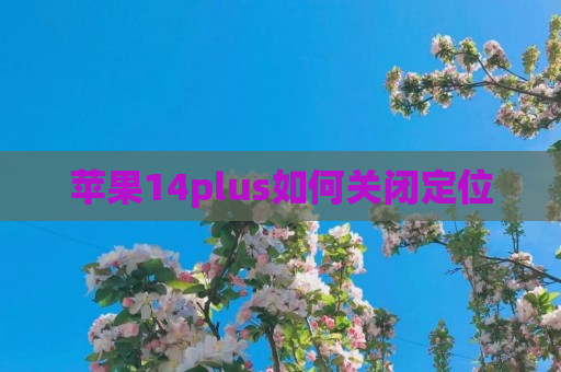 苹果14plus如何关闭定位