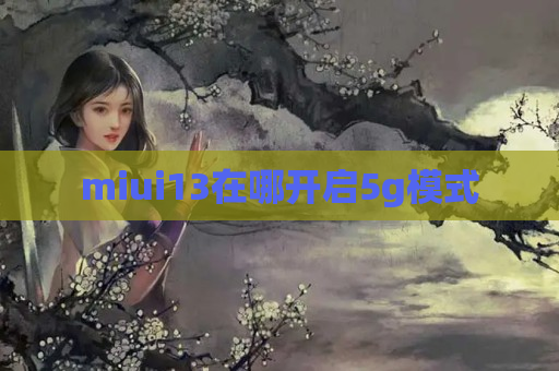 miui13在哪开启5g模式