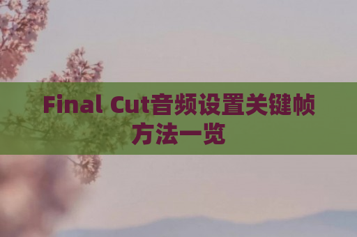 Final Cut音频设置关键帧方法一览