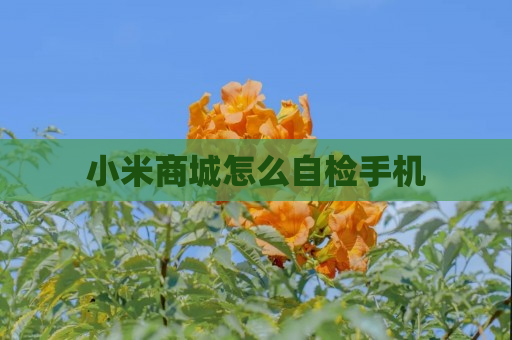 小米商城怎么自检手机