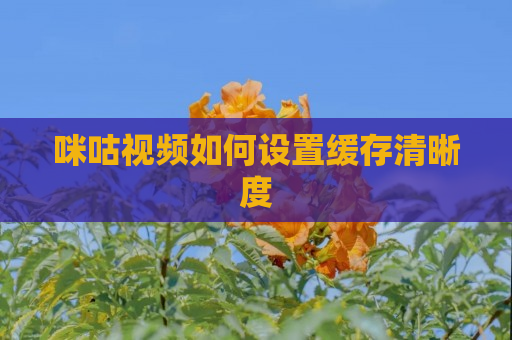 咪咕视频如何设置缓存清晰度