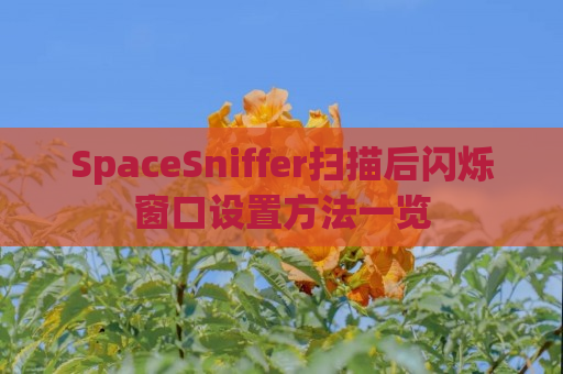 SpaceSniffer扫描后闪烁窗口设置方法一览