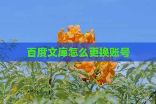 百度文库怎么更换账号