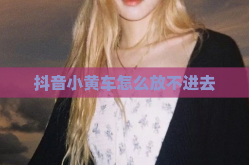 抖音小黄车怎么放不进去