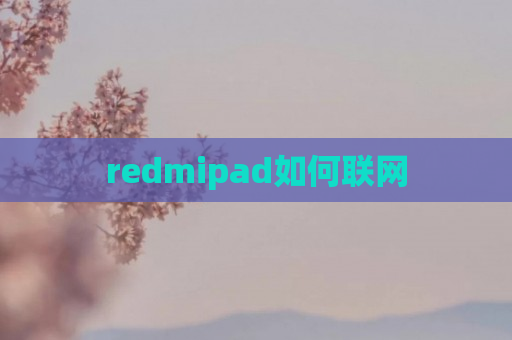 redmipad如何联网