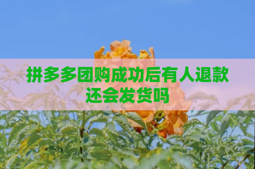 拼多多团购成功后有人退款还会发货吗