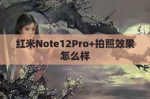 红米Note12Pro+拍照效果怎么样