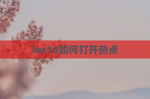 ios16如何打开热点