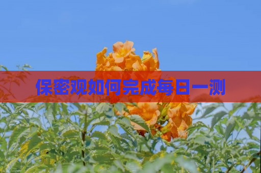 保密观如何完成每日一测
