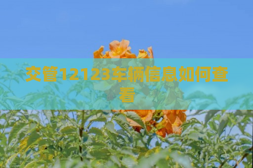 交管12123车辆信息如何查看