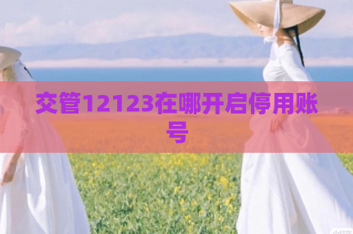 交管12123在哪开启停用账号