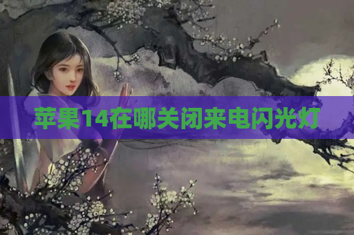 苹果14在哪关闭来电闪光灯